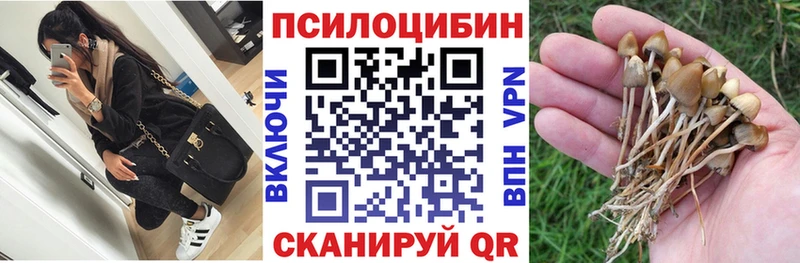 Псилоцибиновые грибы Psilocybine cubensis  Купить где  Тобольск 